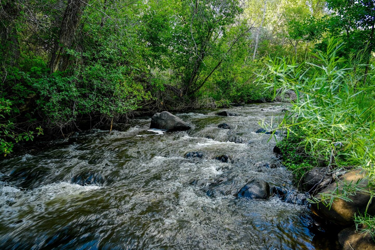 The beautiful sounds of Surface Creek are directly behind the house. 