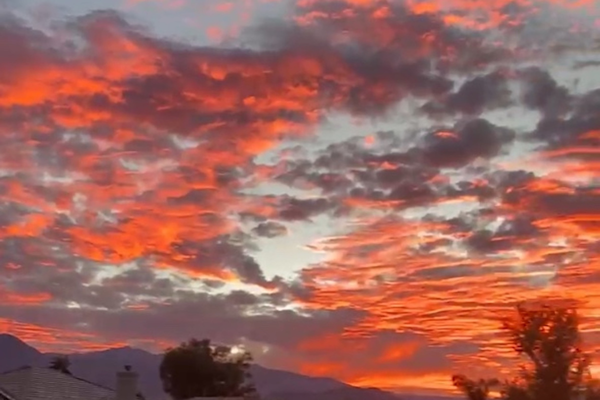 Backyard Sunset