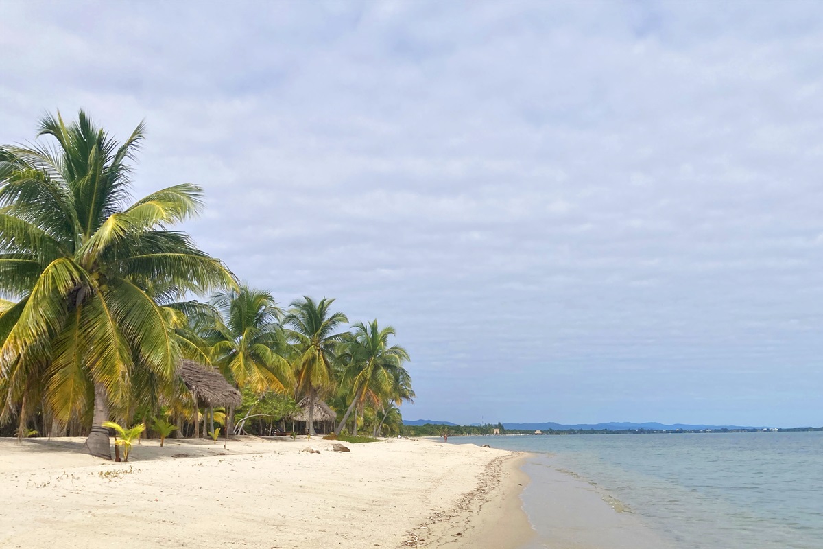 The beach. Just 100 yards away