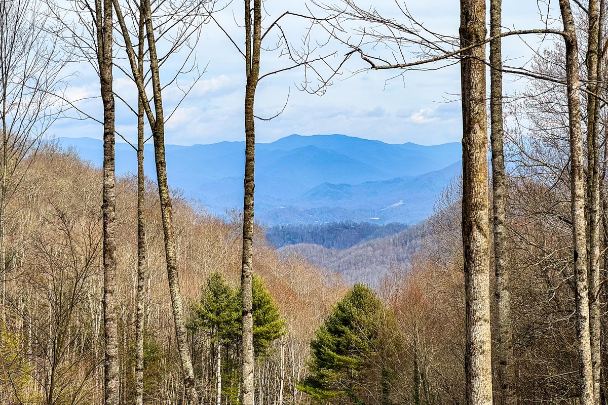 Our wonderful views from the deck of Waterrrock Knob and the Great Smoky Mountains!