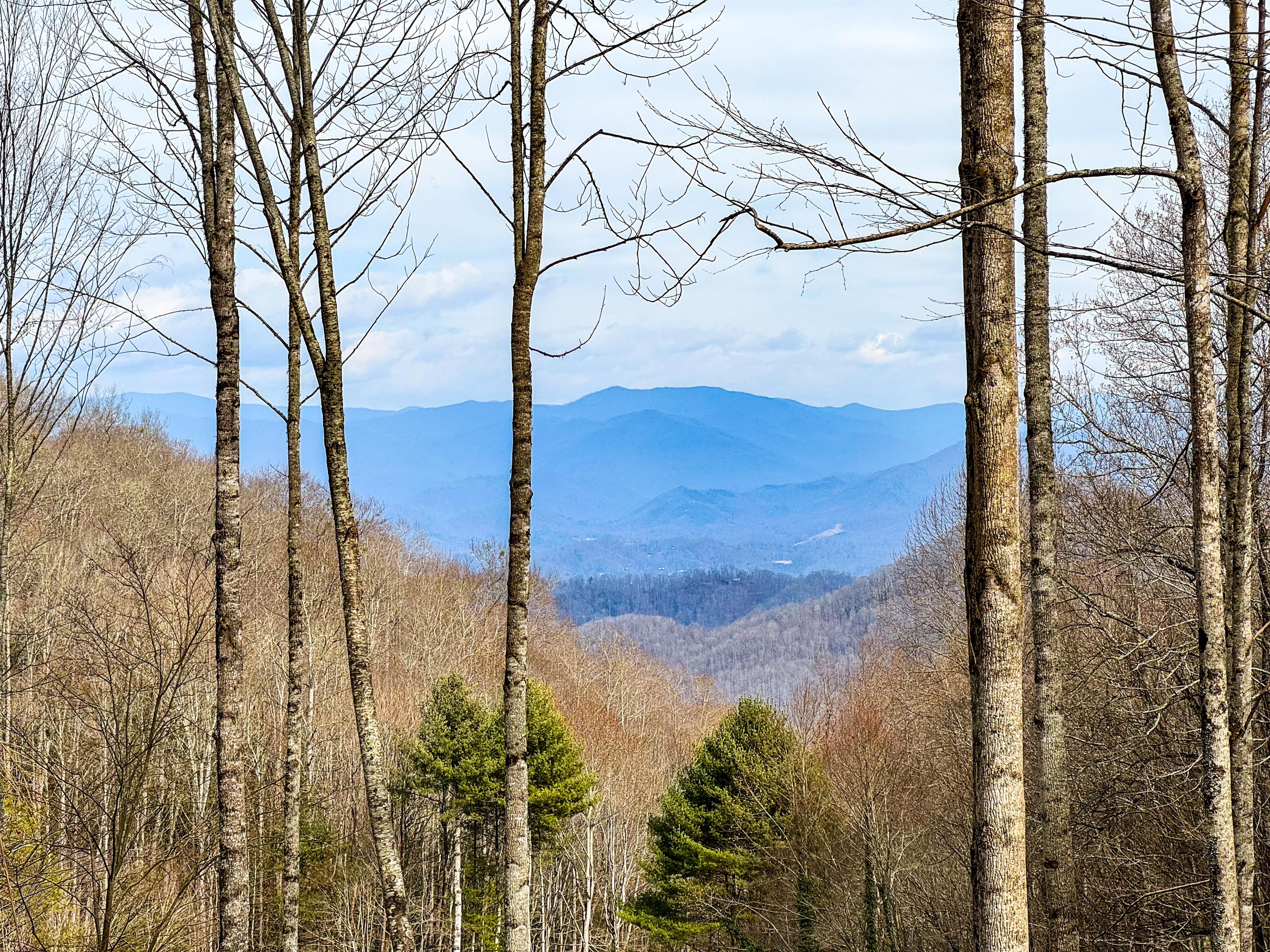 Our wonderful views from the deck of Waterrrock Knob and the Great Smoky Mountains!