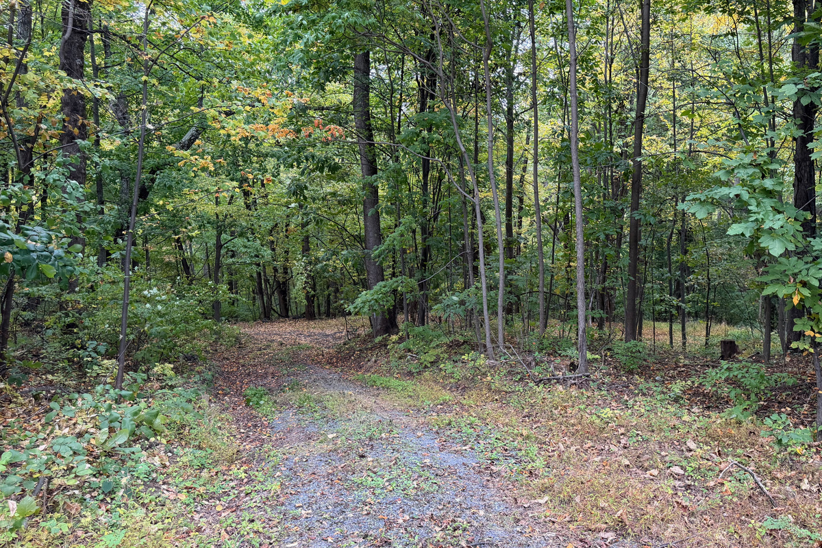 Numerous trails are on the 26 acre property, which you are free to use. We do have many wild animals to enjoy watching, but do take care and be safe. Read through the Guest Welcome Book about safety before you venture off.