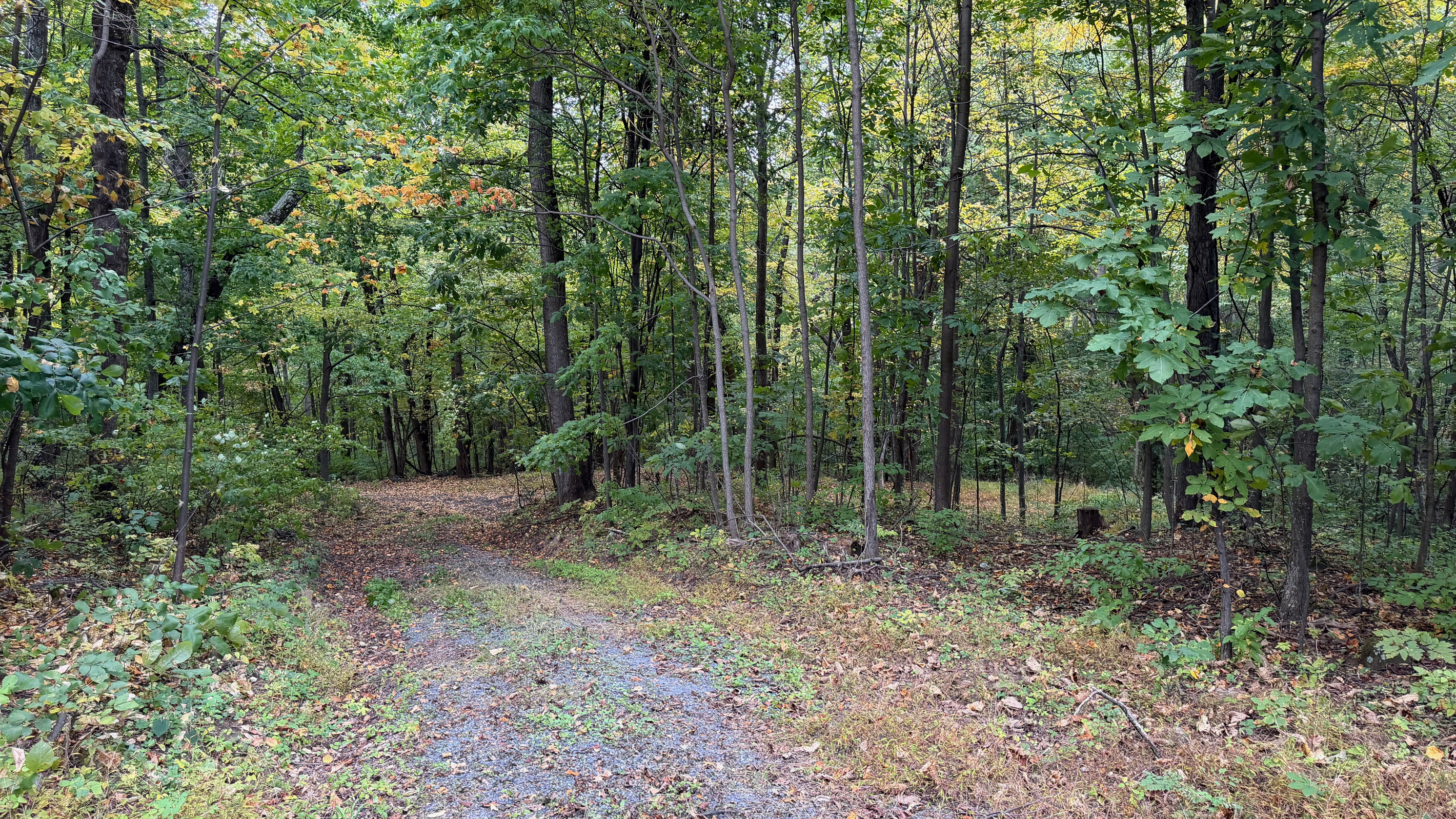 Numerous trails are on the 26 acre property, which you are free to use. We do have many wild animals to enjoy watching, but do take care and be safe. Read through the Guest Welcome Book about safety before you venture off.
