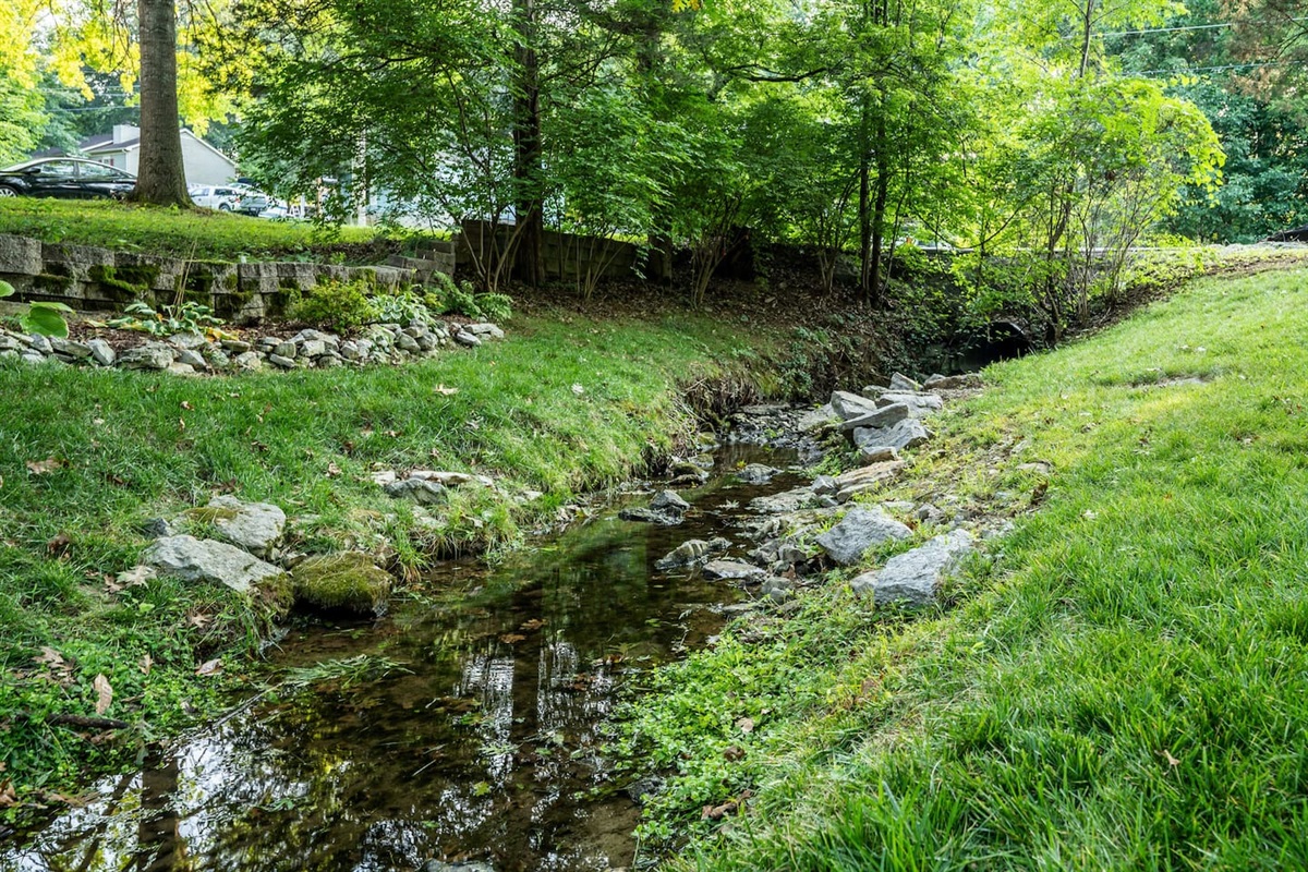 Year round creek with small fish 