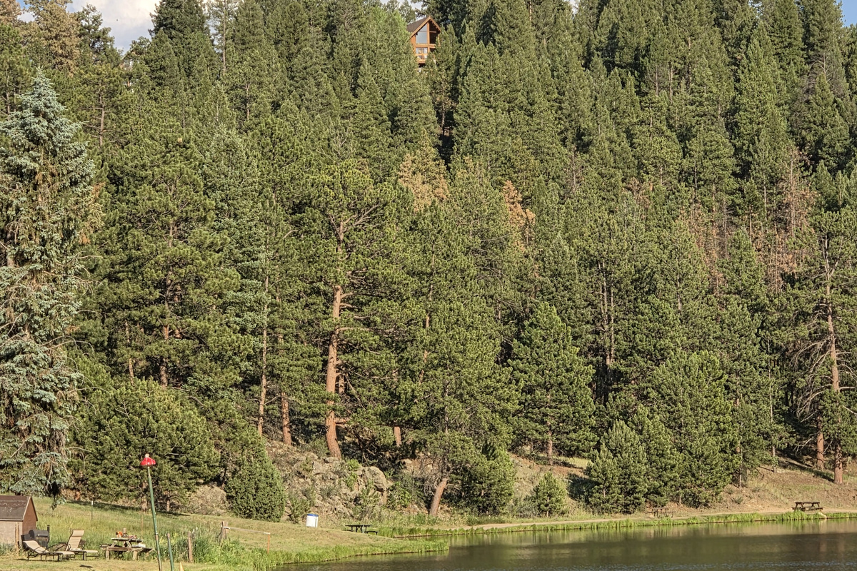 View from the lake