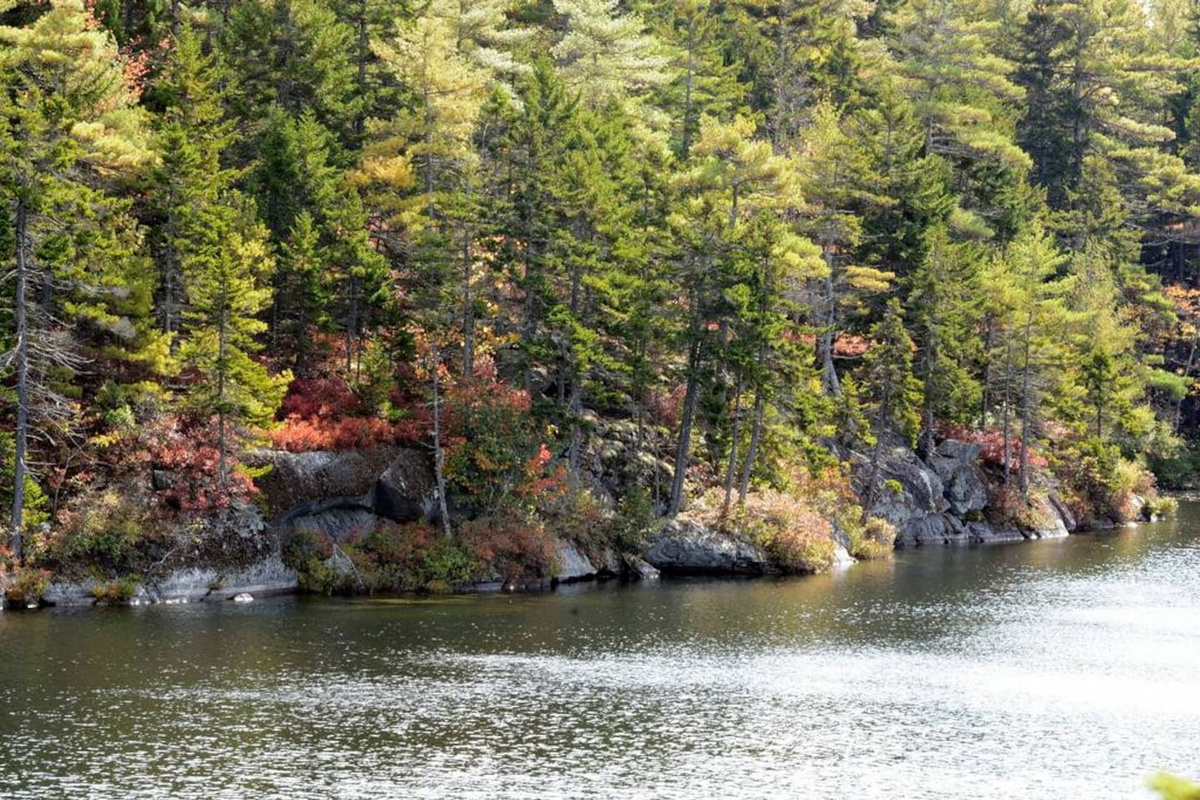 Our swimming hole's rocky shoreline is lots of fun to explore.