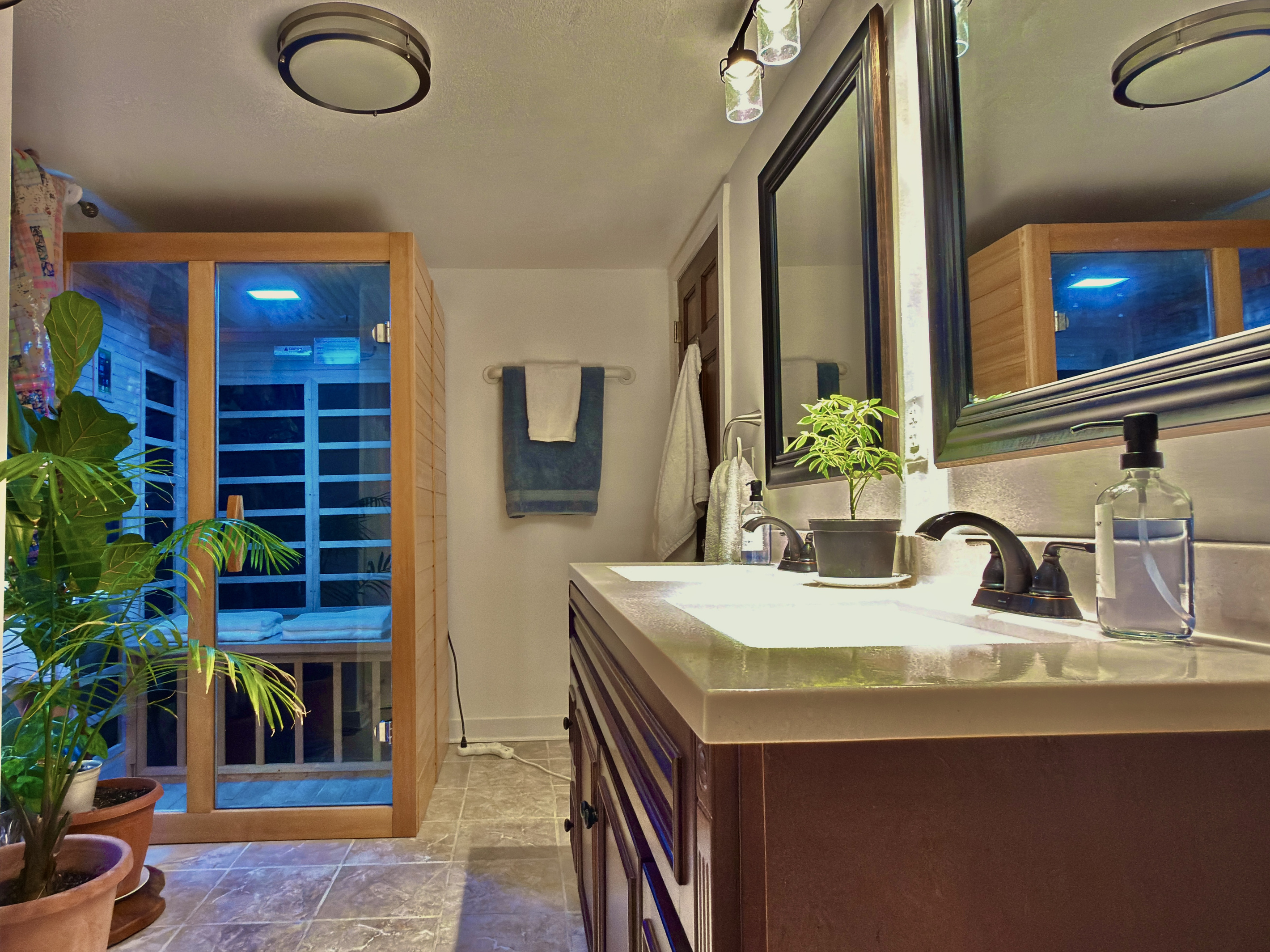 Spa-inspired bath with double vanity, live plants, and customizable infrared sauna. A serene space to relax and rejuvenate during your stay.