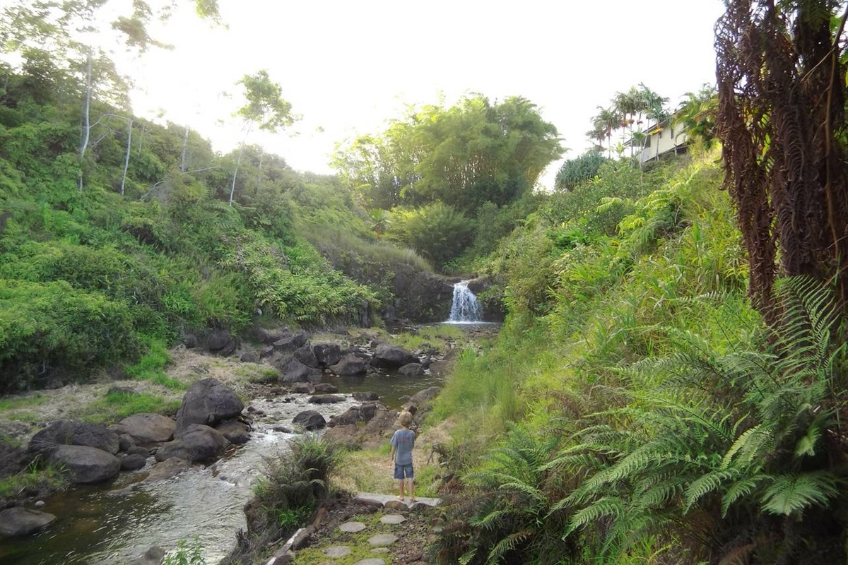 Easy access to the waterfall.