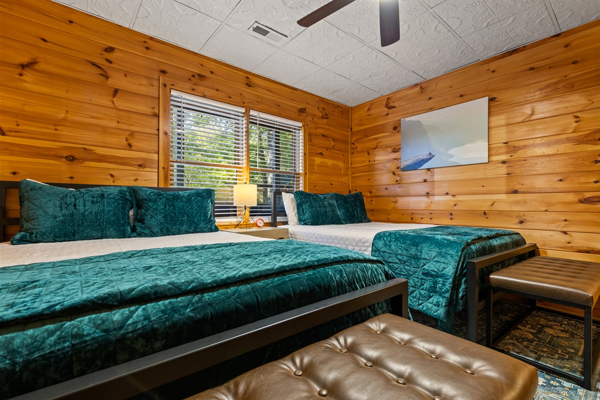 Forest views that remind you... this is what peace feels like!