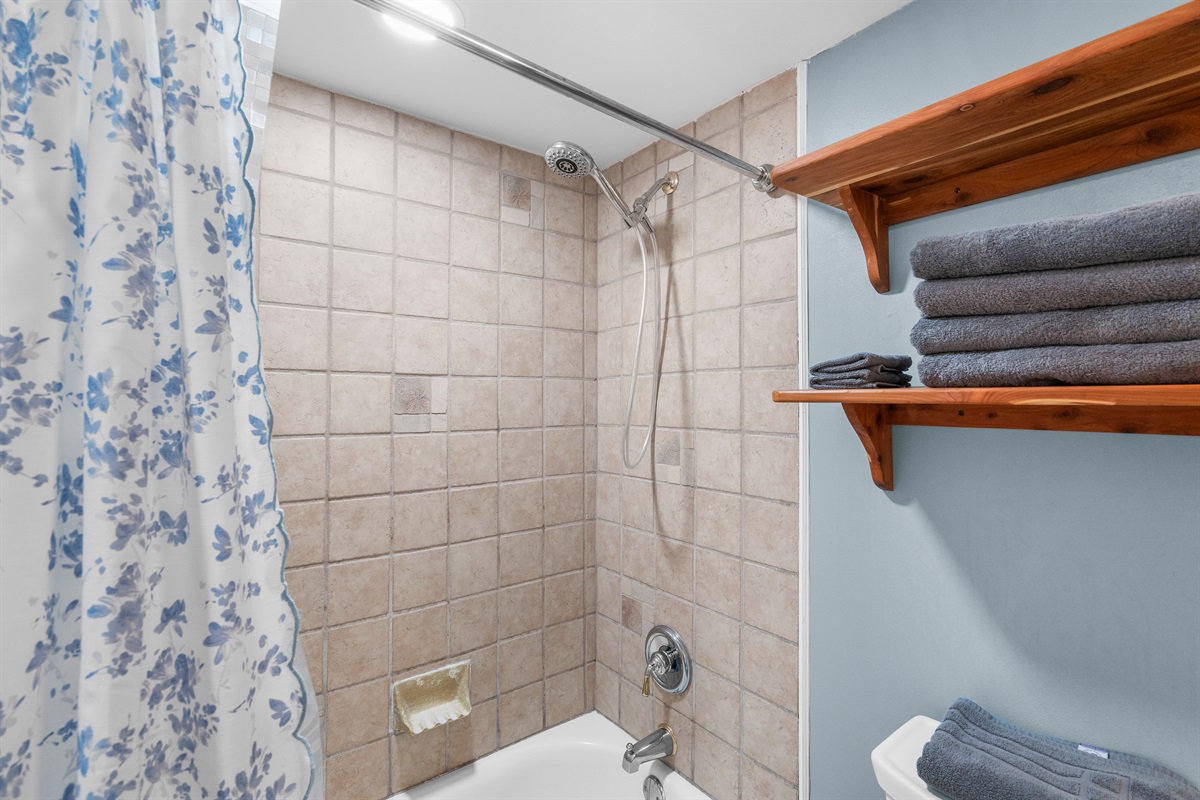 Guest Bath