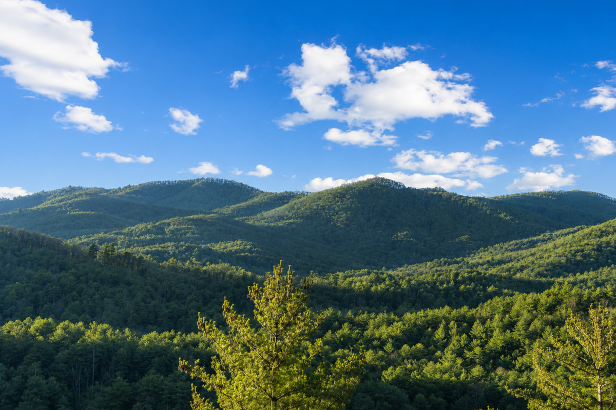 The view that changes everything. Endless Blue Ridge views, endless calm!
