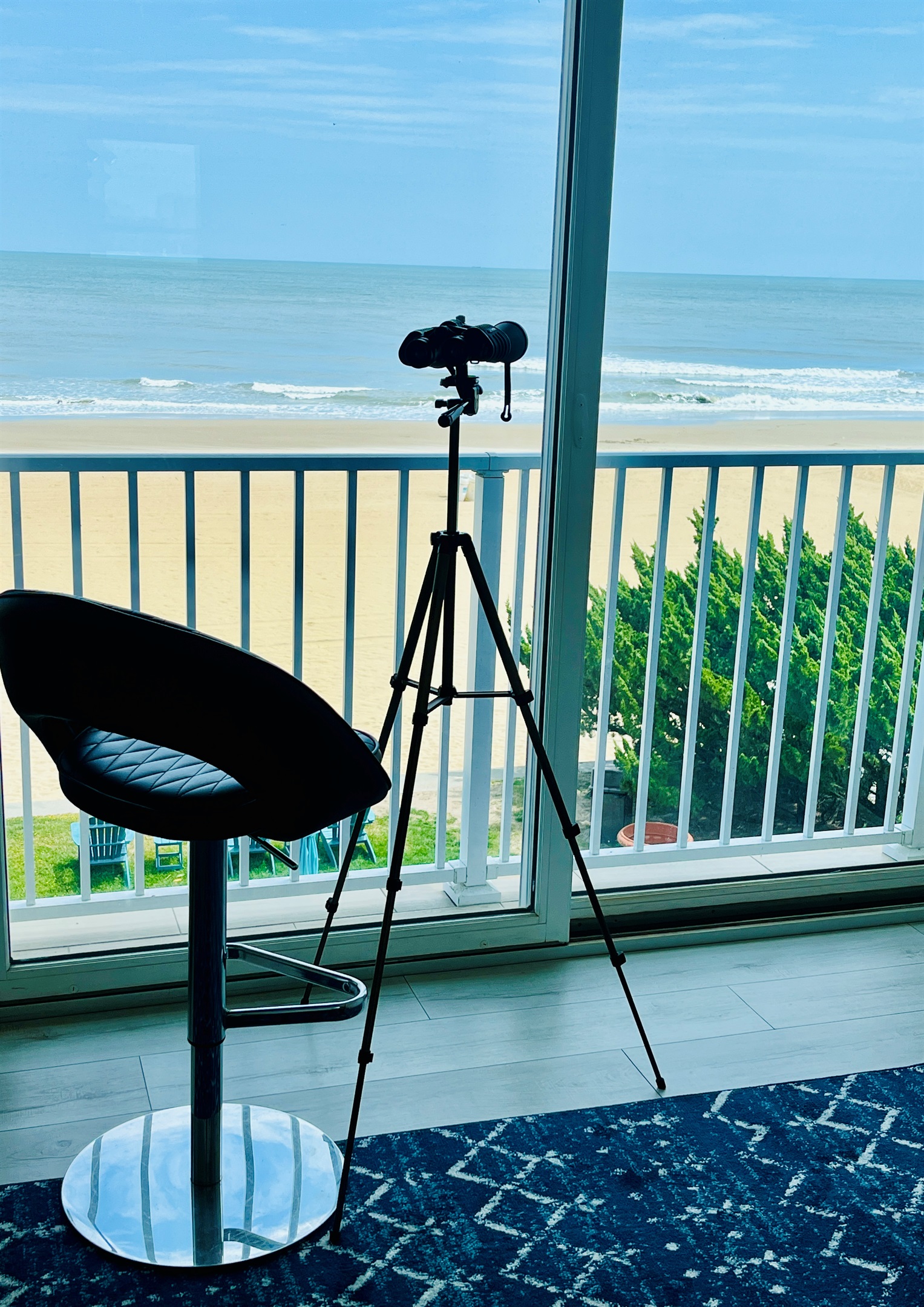 Watch dolphins from your balcony