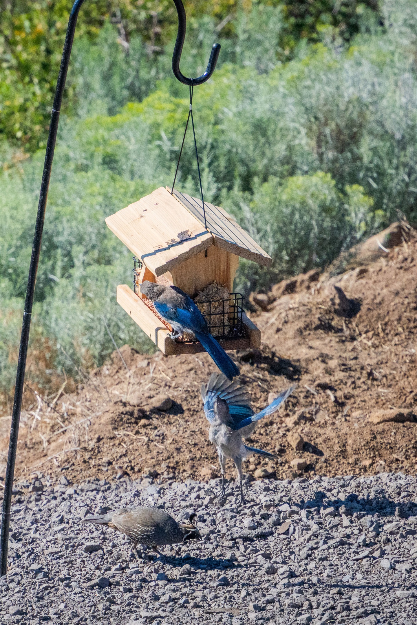 World Class Bird Watching Right On The Property
