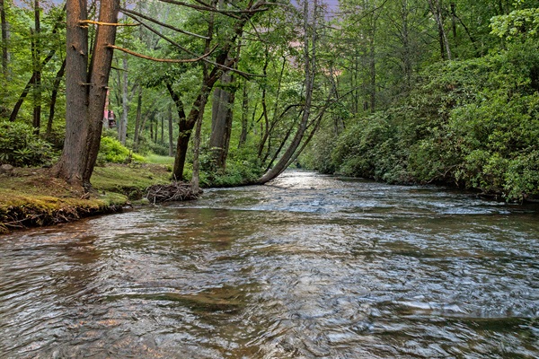 Fightington Creek offers serene sounds and a peaceful place to explore. Great for tubing - we provide the tubes and life jackets.