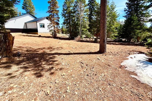 Set on a half-acre surrounded by pines, our cabin gives you room to breathe, relax, and enjoy the outdoors—whether you’re sipping coffee under the trees or stargazing by the fire at night.