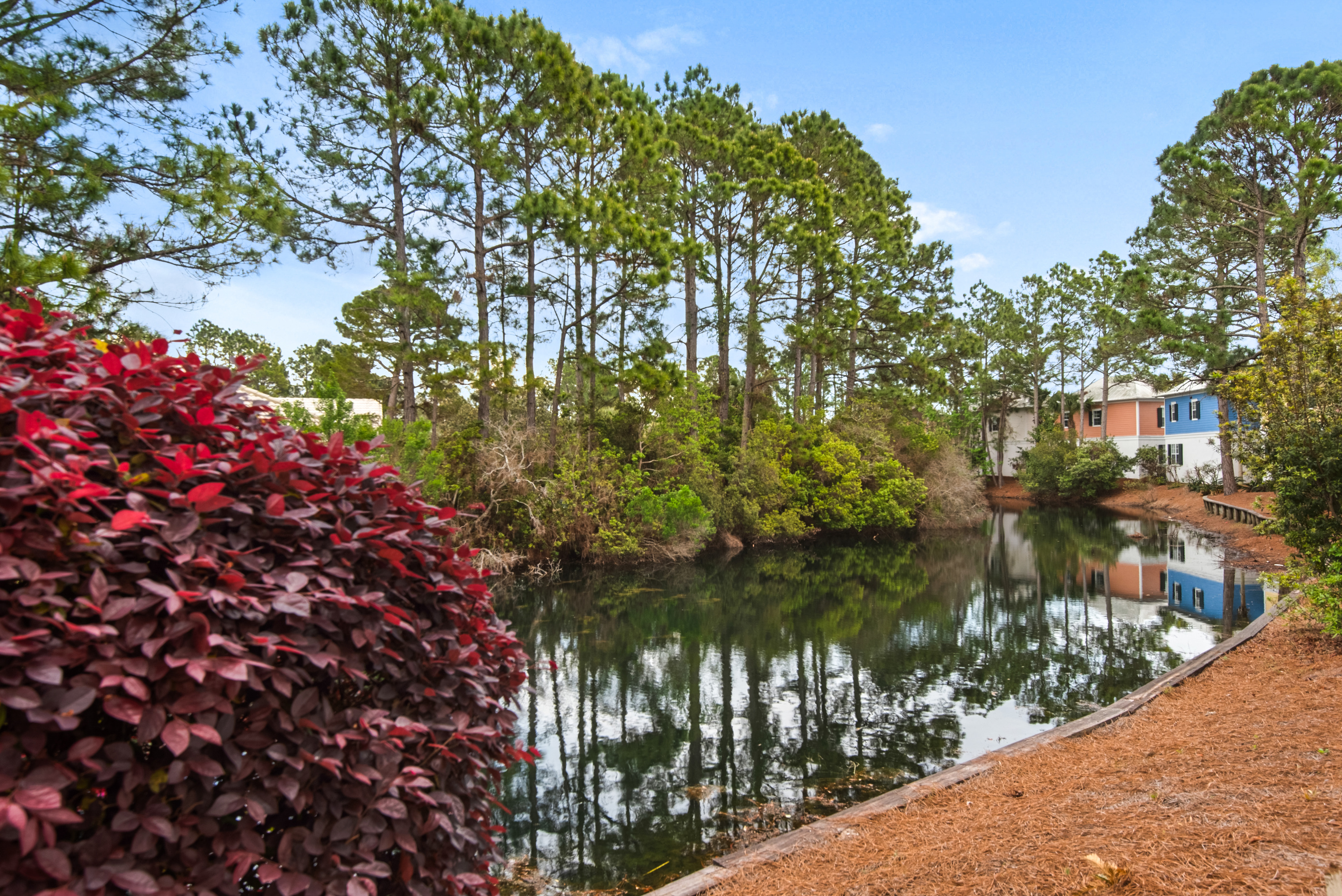 Landscaped pond surrounded by trees and bungalows at the Bungalows at Seagrove community.