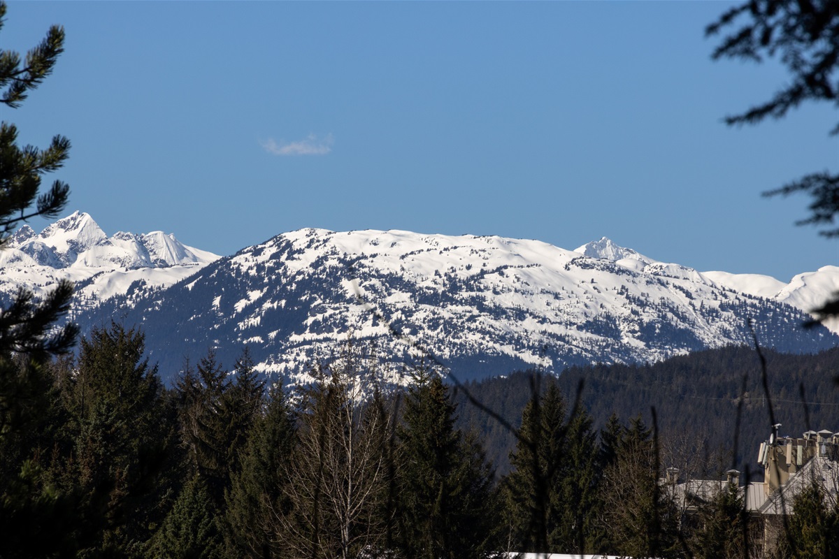 Stunning Sproat Mountain view is visible from the bedroom and living room.