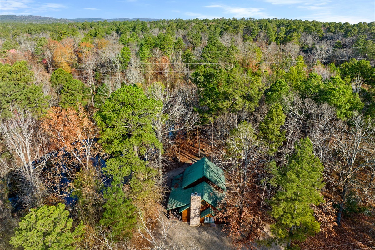 Aerial view of cabin and pond