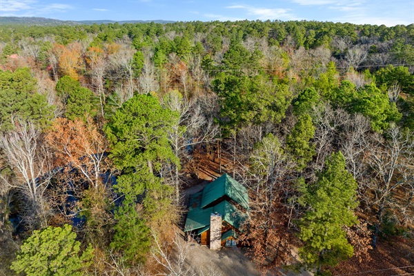 Aerial view of cabin and pond