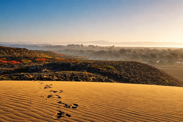 Scenic sand dunes and coastal landscape (photo by host)