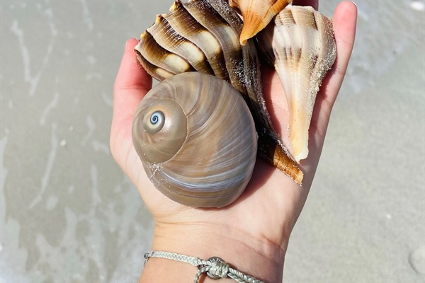 A beachcomber's paradise! Endless treasures to collect