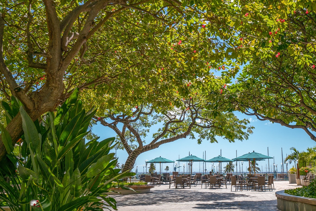 Back outdoor deck with seating on the lobby level.  Enjoy local Hawaiian music and hula and view the Fireworks show from the deck on Friday nights