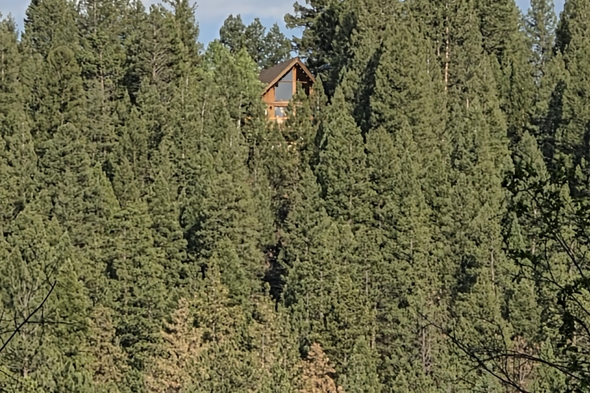 View from the lake