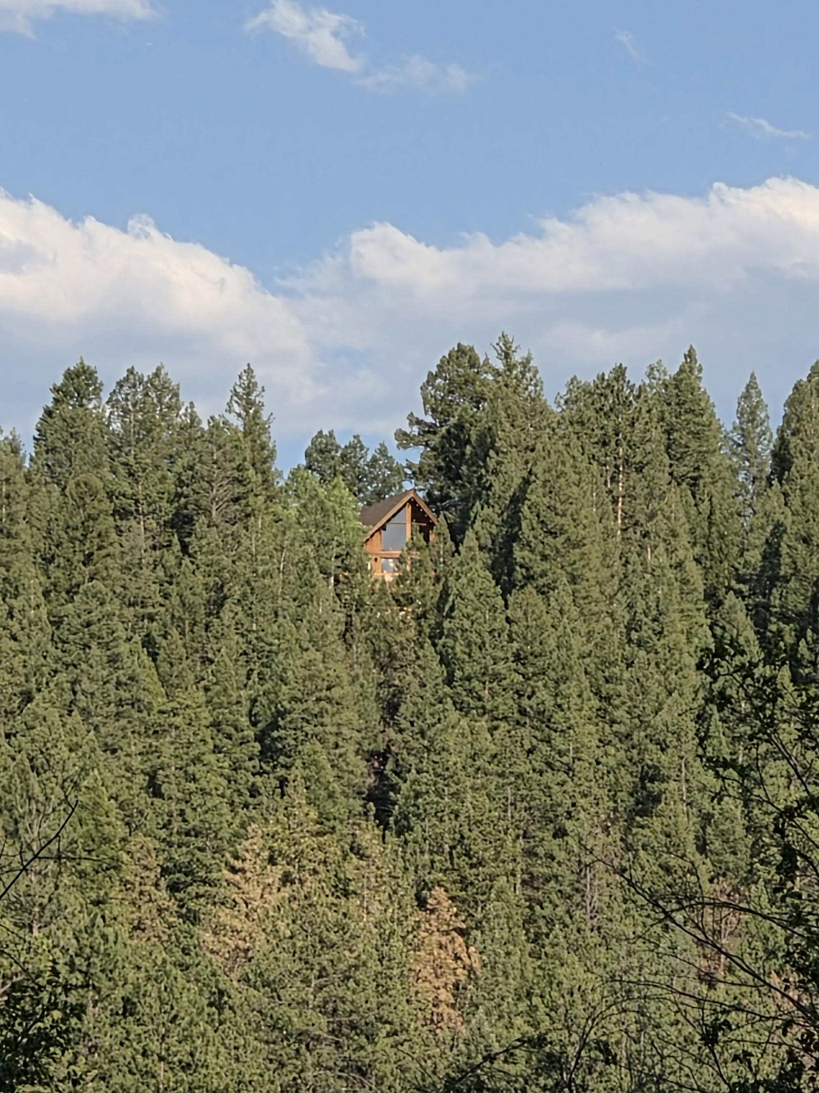 View from the lake