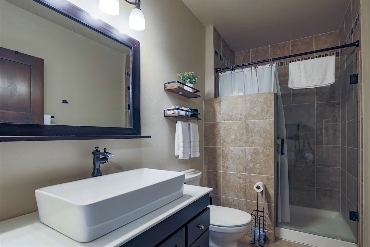 Lower level Primary bath 2