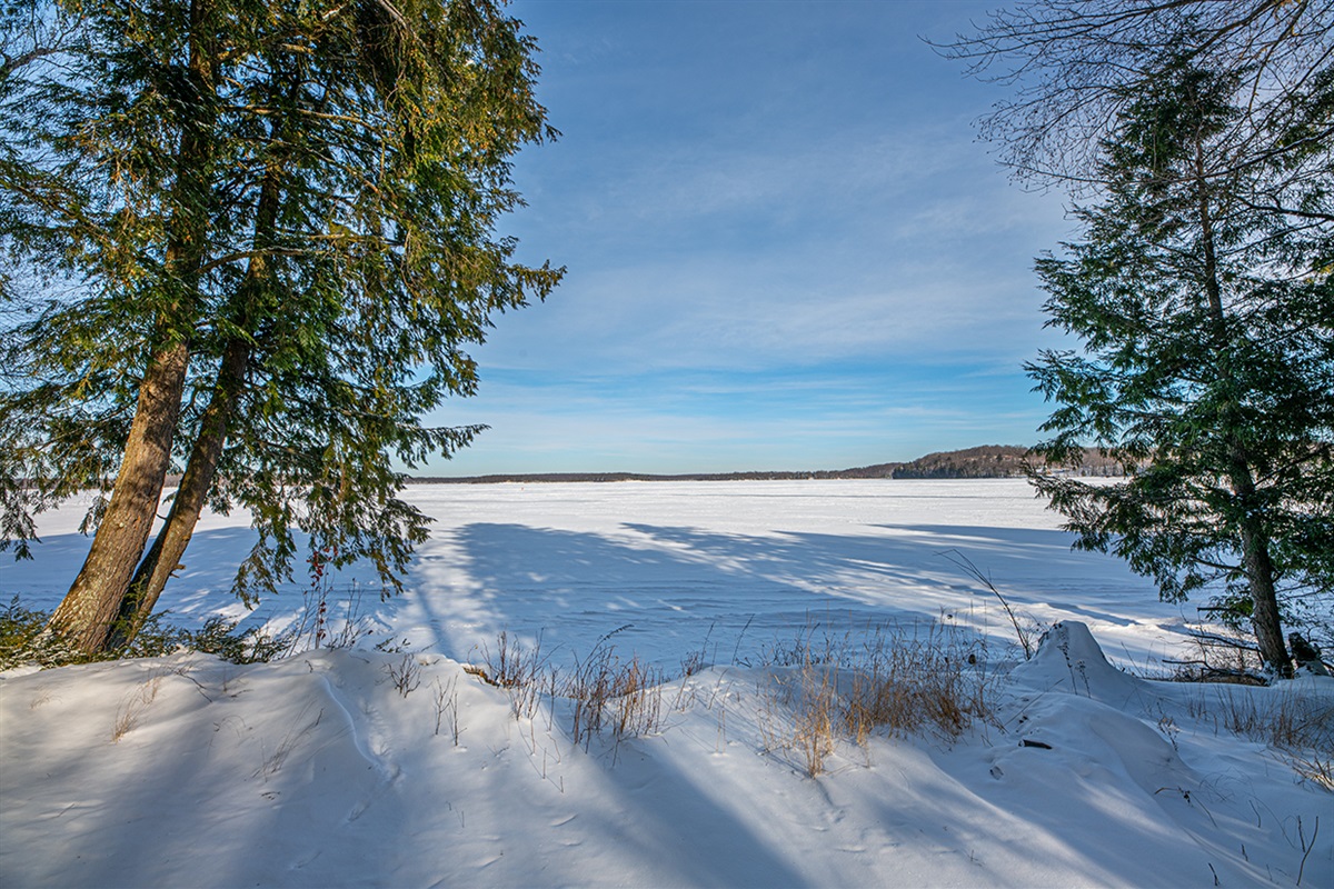 - Frozen lake framed by tall evergreens and open sky - Snowy shoreline offering peaceful winter landscapes - Scenic viewpoint perfect for photos walks and calm moments