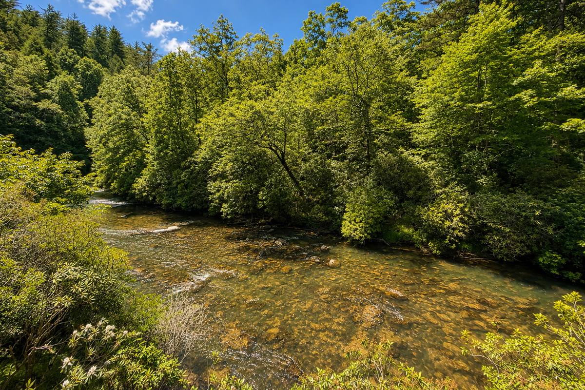 The beautiful Ellijay River...