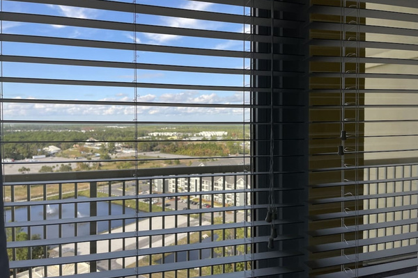 View from 2nd bedroom window