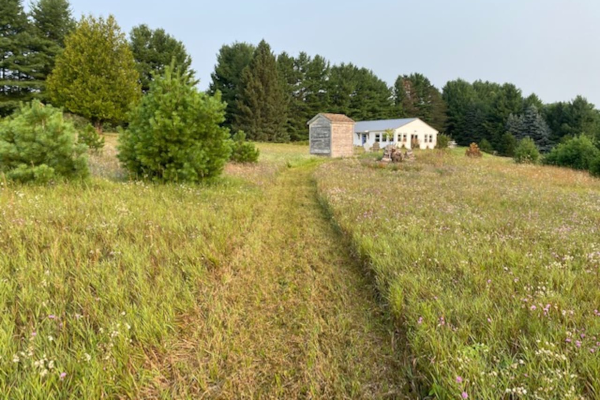 We keep a few walking paths mowed for easy exploration!