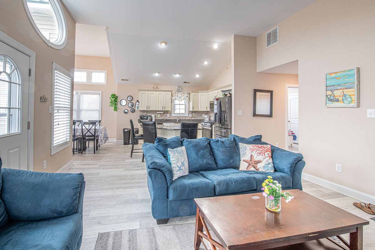 Bright Open Living Space and Kitchen Layout