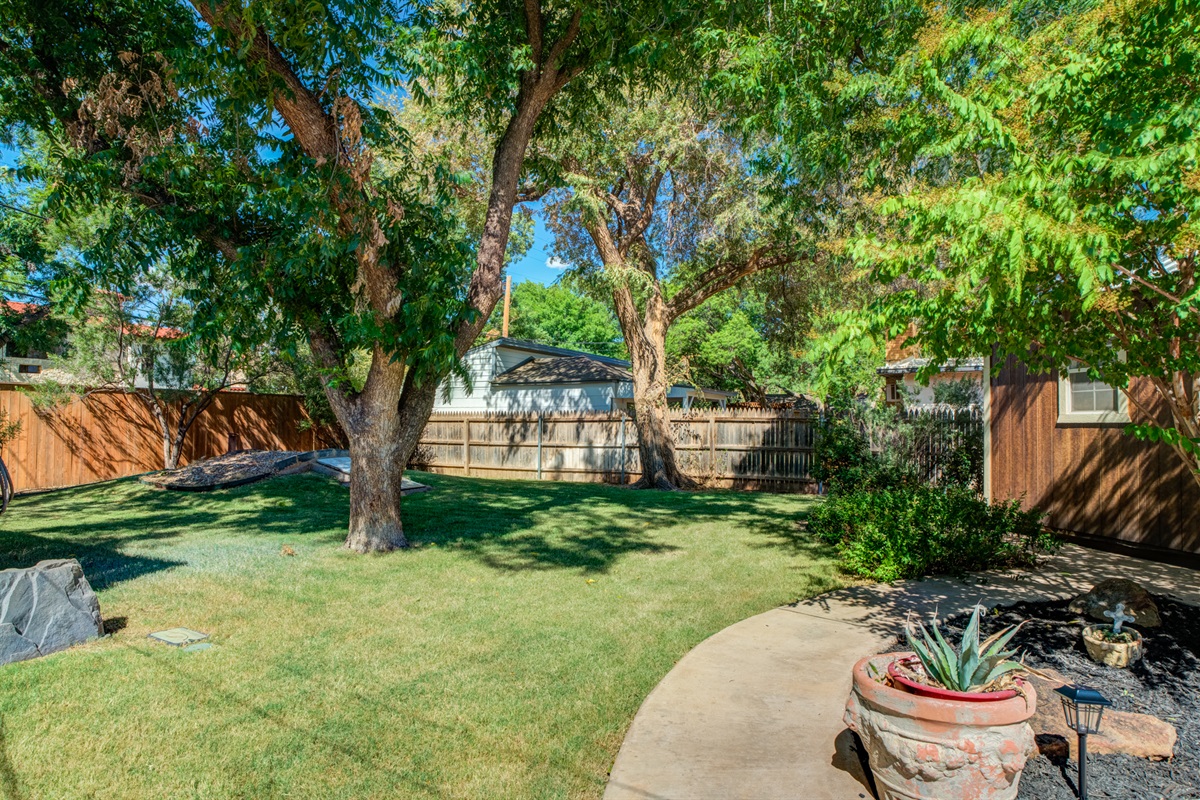 Great Shaded Backyard