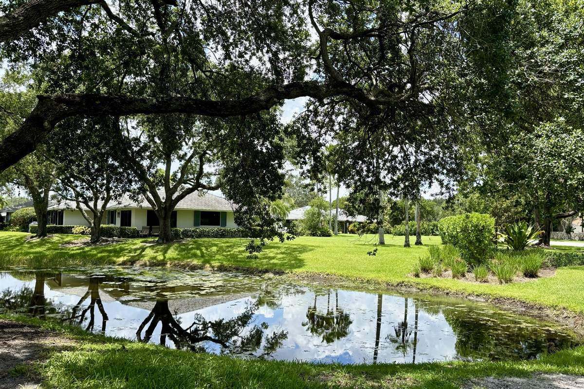 A large tree provides plenty of shade so you can comfortably enjoy sitting outside.