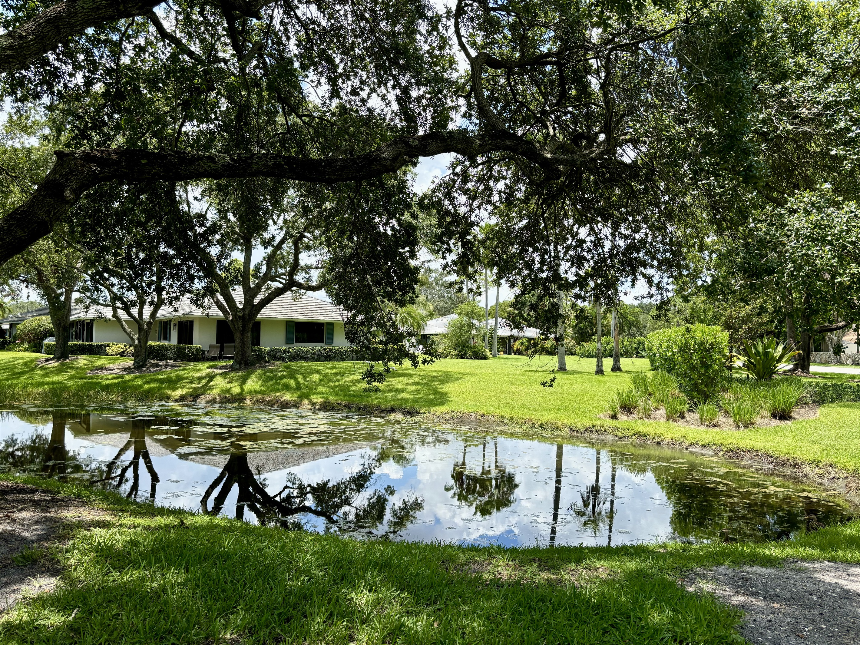 A large tree provides plenty of shade so you can comfortably enjoy sitting outside.