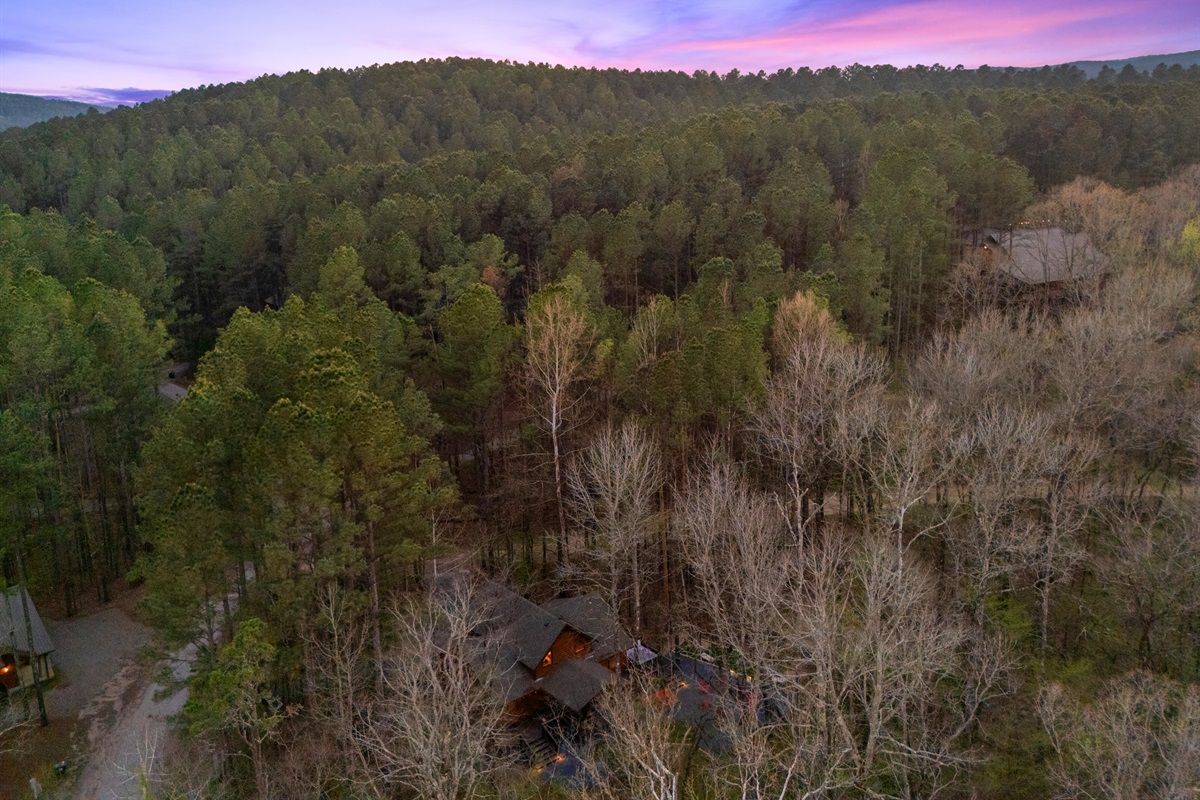 Surrounded by trees in every direction, the setting feels calm and quiet, making it easy to truly relax and disconnect.