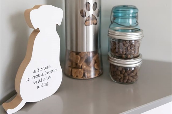 Complimentary dog treats.