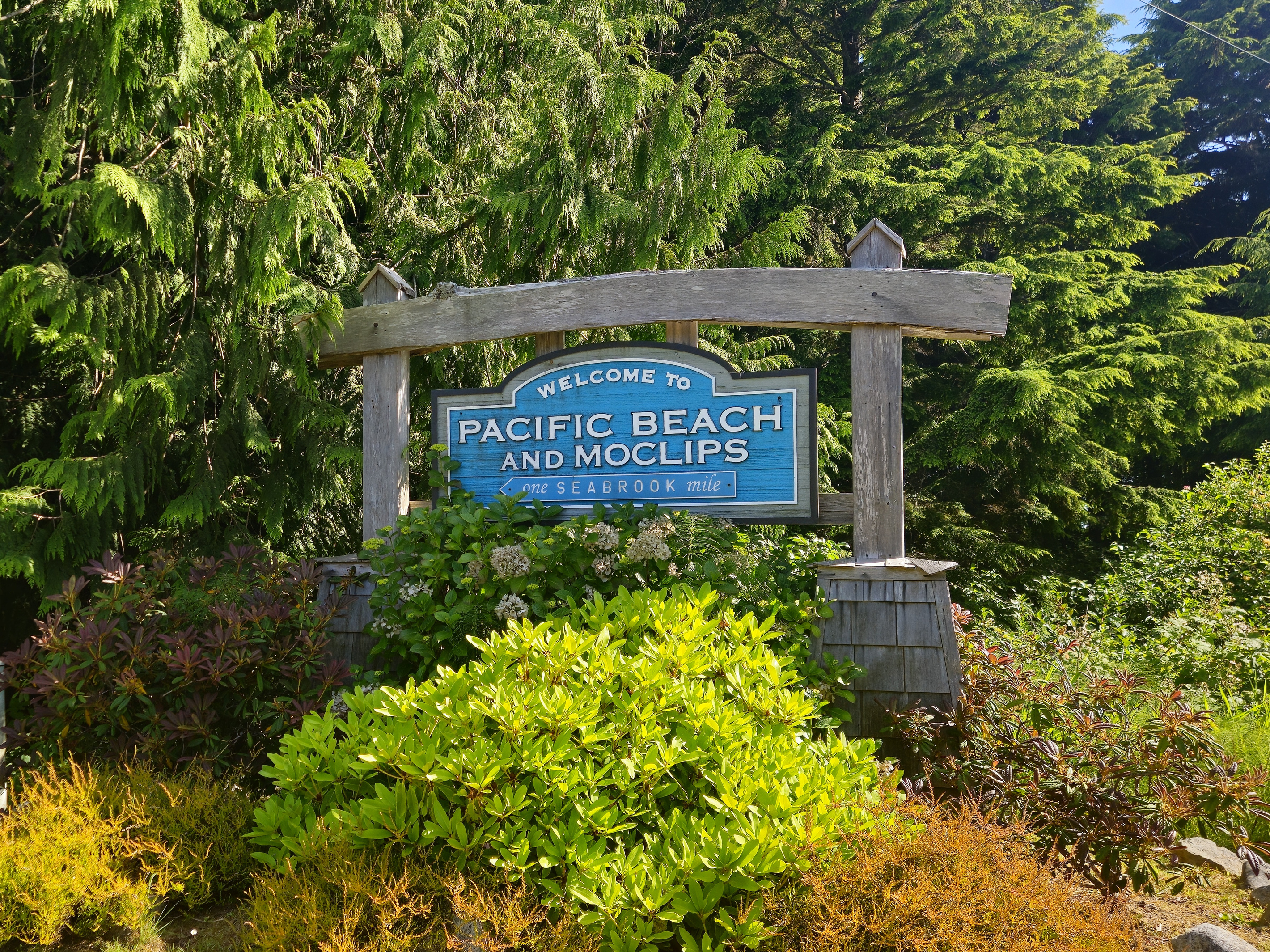 Beautiful, Affordable Pacific Beach -- a Washington beach town with history.