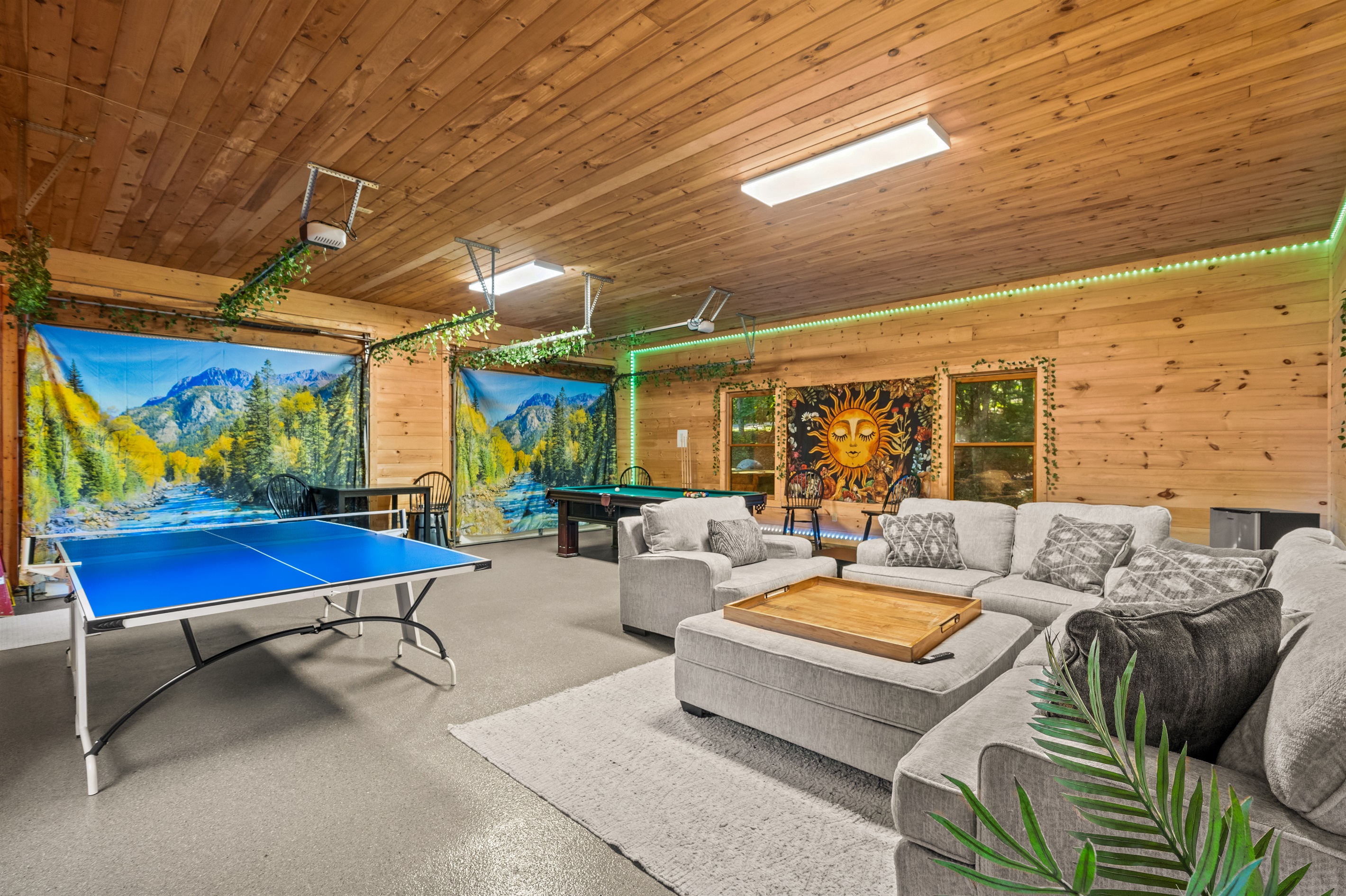 Entertainment area