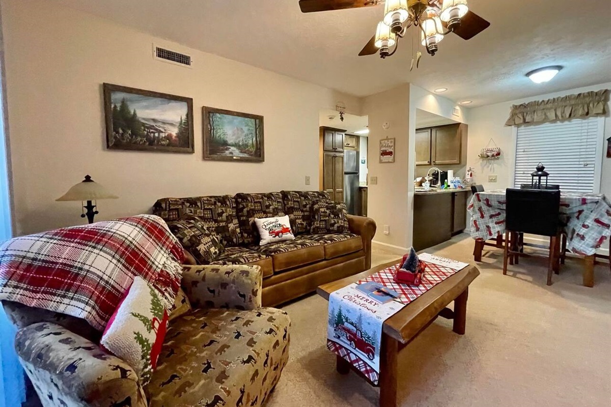 Living room with sleeper sofa and sitting chair 