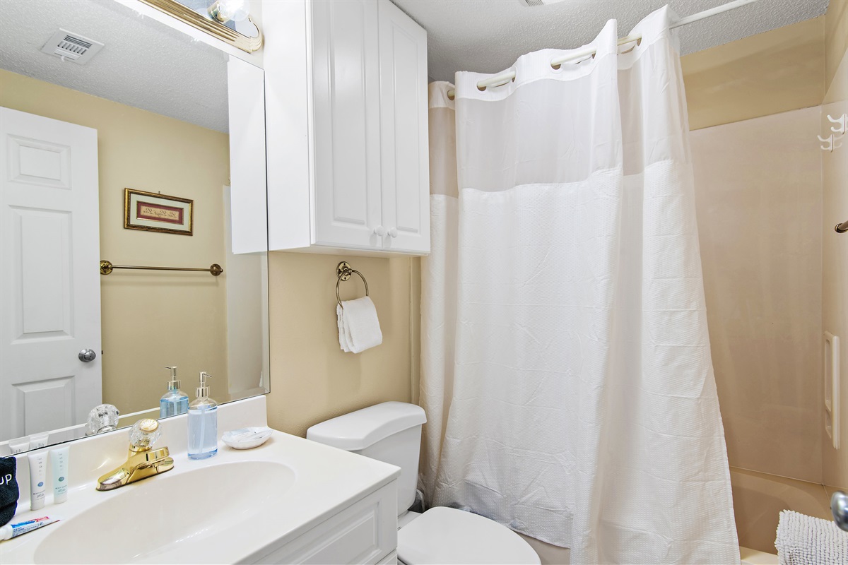  Master Bathroom with Shower/Tub Combo