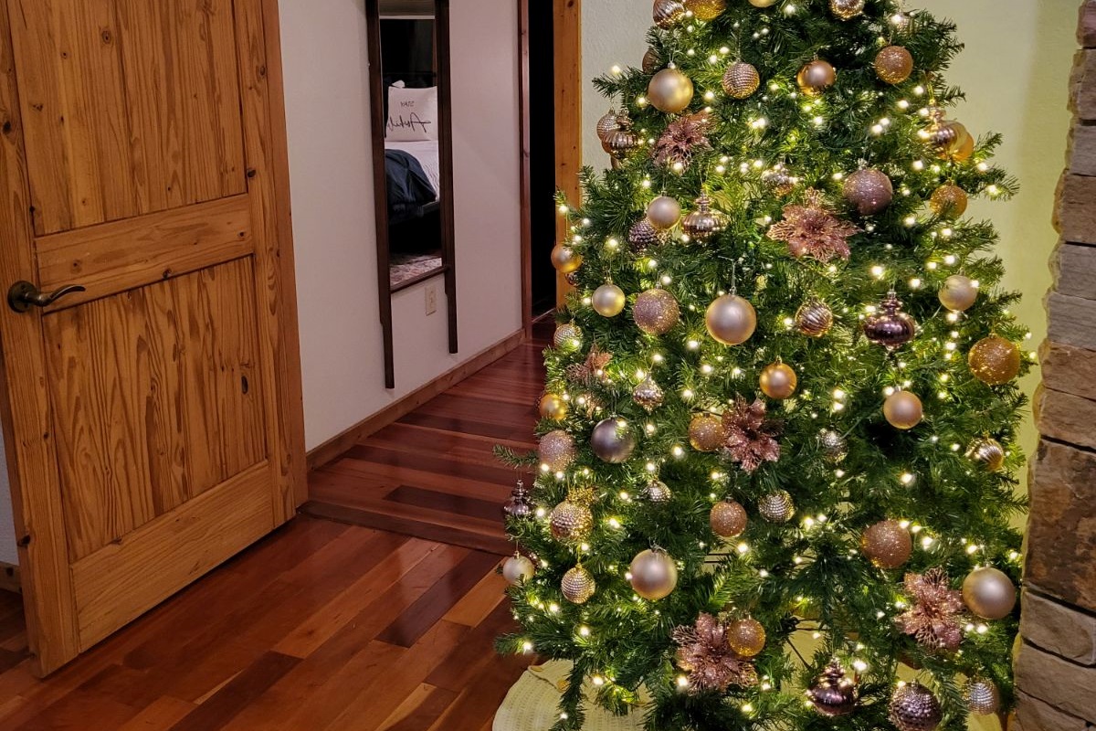 Christmas tree at Christmas time!