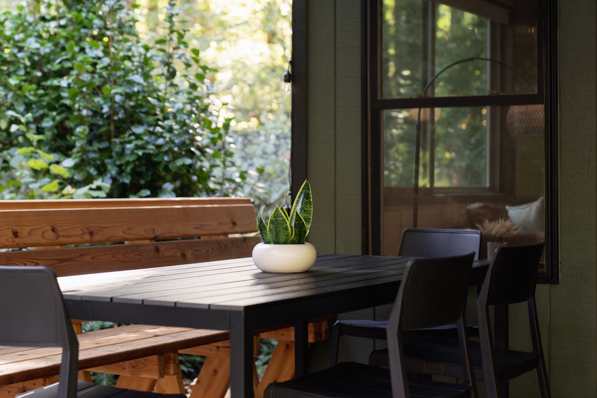 A shaded porch table, framed by forest — perfect for a quiet breakfast.