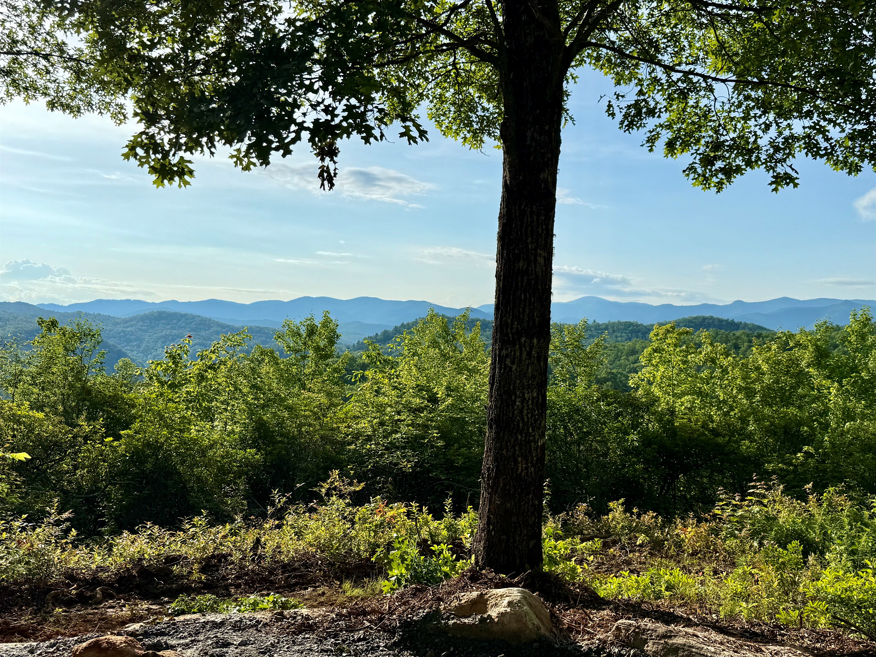 Pano view