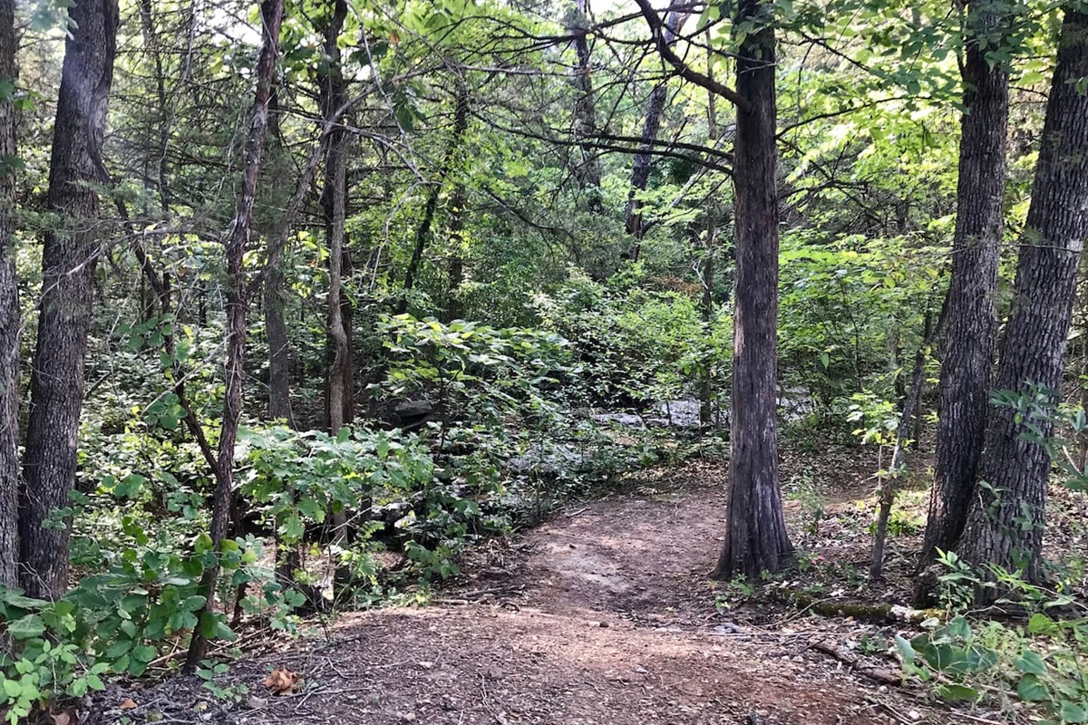 View from back of house - nature trail and creek