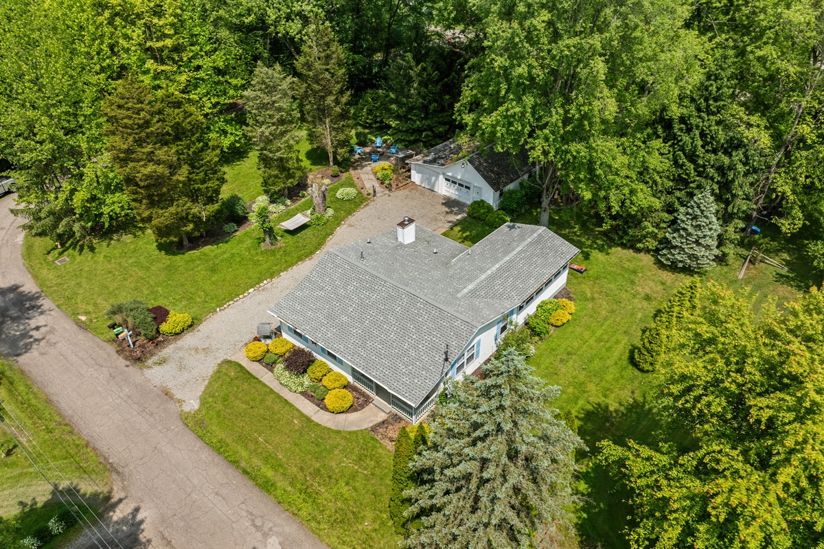 Bird's Eye