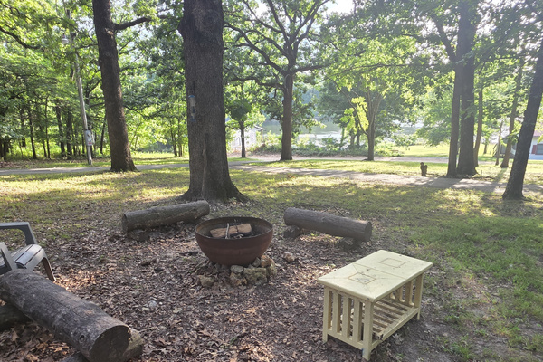 Firepit surrounded by nature and views of the lake.