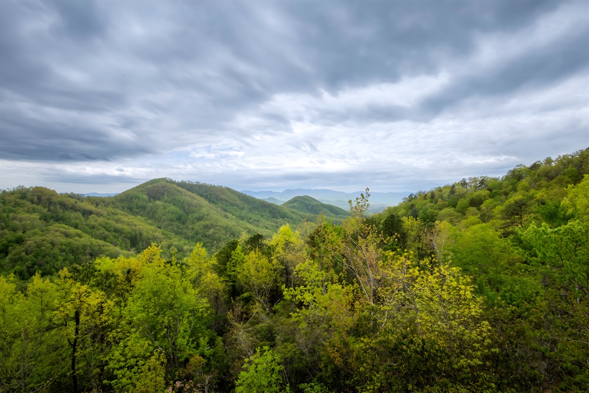 Picture yourself drifting away in thought in the natural beauty of the mountains.